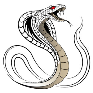 Китайский гороскоп на 2016 год Змеи