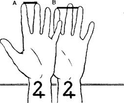 Средний палец на руке