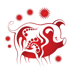 Гороскоп Фэн-шуй на 2015 год для Свиньи