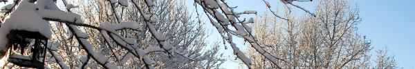 Лунный календарь на февраль 2025 года