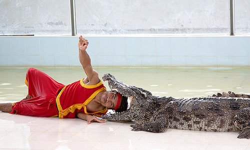  про крокодила 