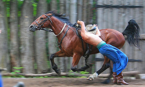 снится наездник 